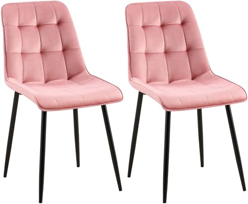 CLP 2er Set Esszimmerstuhl Gifford I Polsterstuhl mit Samtbezug I Küchenstuhl mit Rückenlehne, Farbe:pink, Material:Samt CLP 2er Set Esszimmerstuhl Gifford I Polsterstuhl mit Samtbezug I Küchenstuhl mit Rückenlehne, Farbe:pink, Material:Samt von CLP
