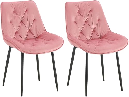 CLP 2er Set Esszimmerstuhl Wallace I Moderner Polsterstuhl mit Samtbezug & Steppung I Metallgestell I 120kg belastbar I Komfortabel, Farbe:rosa von CLP