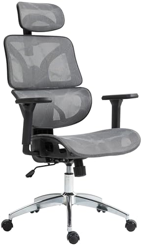 CLP Bürostuhl Deshler I ergonomischer Schreibtischstuhl I höhenverstellbarer Drehstuhl I mit Armlehnen und Kopfstütze, Farbe:grau von CLP