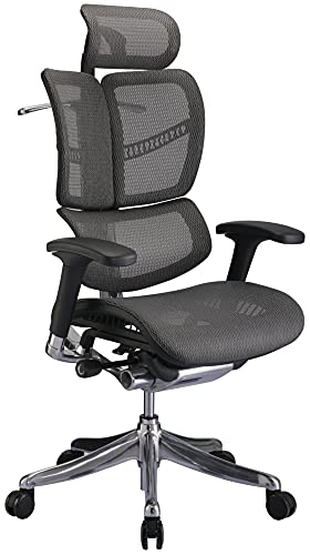 CLP Bürostuhl Norfolk Ergonomic I Ergonomischer Schreibtischstuhl I Kopfstütze, Farbe:grau CLP Bürostuhl Norfolk Ergonomic I Ergonomischer Schreibtischstuhl I Kopfstütze, Farbe:grau von CLP