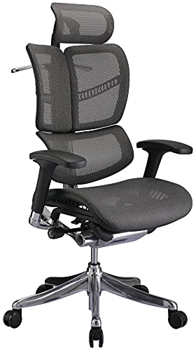 CLP Bürostuhl Norfolk Ergonomic I Ergonomischer Schreibtischstuhl I Kopfstütze, Farbe:grau von CLP