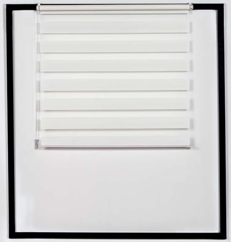 CLP Doppelrollo mit Klemmfix Fixierung ohne Bohren I Duo Fenster-Rollo mit Klemmträger Größen, Farbe:grau, Größe:60x150 cm von CLP