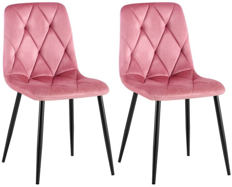 CLP Esszimmerstuhl Clairton (2er Set, 2 St), mit Stoff- oder Samtbezug, Metallgestell von CLP