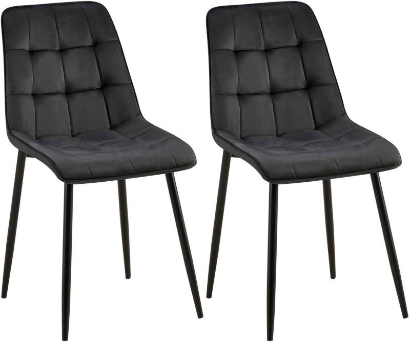 CLP Esszimmerstuhl Gifford (2er Set, 2 St), Polsterung mit Samtbezug, Metallgestell von CLP