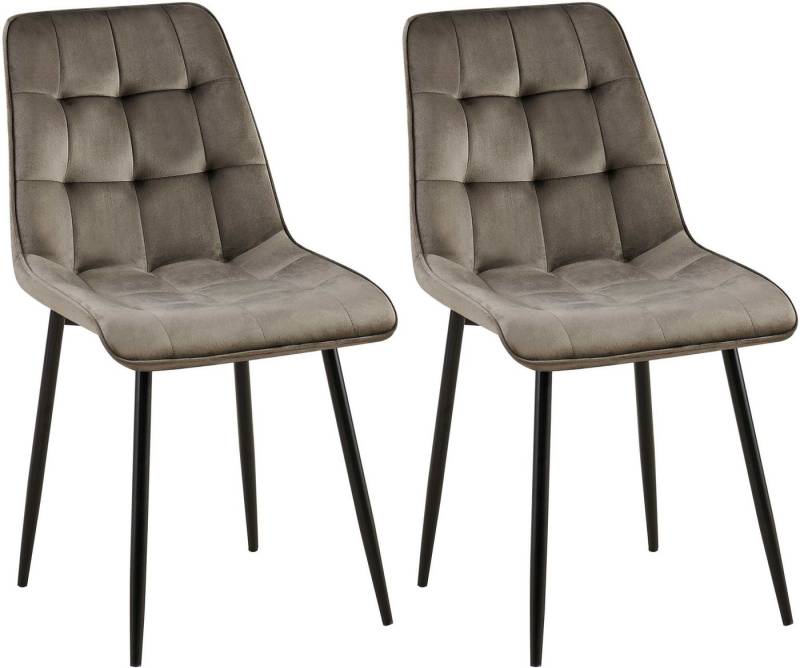 CLP Esszimmerstuhl Gifford (2er Set, 2 St), Polsterung mit Samtbezug, Metallgestell von CLP