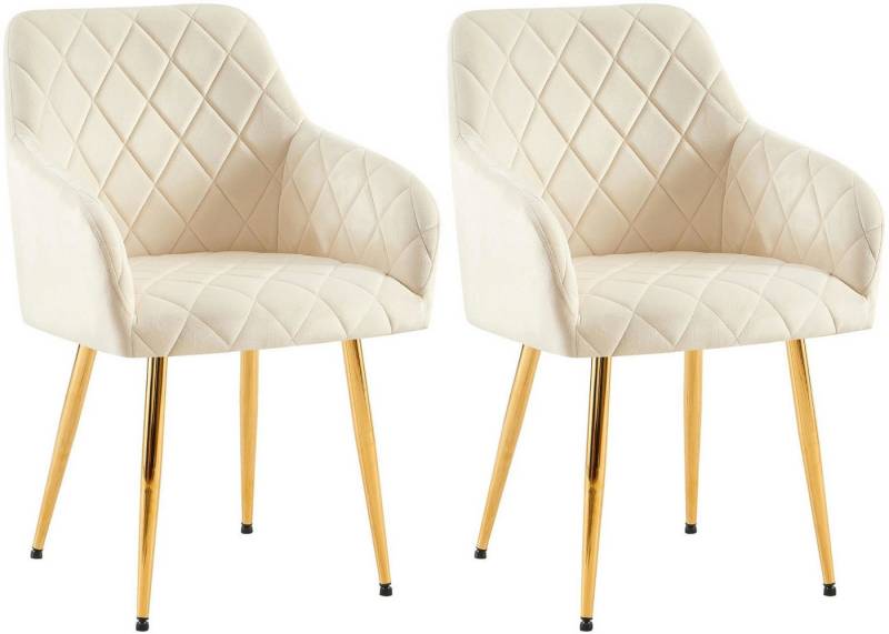 CLP Esszimmerstuhl Monett (2er Set, 2 St), gepolsterte Samtbezüge von CLP