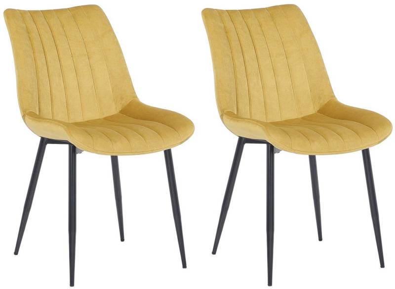 CLP Esszimmerstuhl Rahden Samt (2er Set), Metall-Gestell, gepolstert von CLP