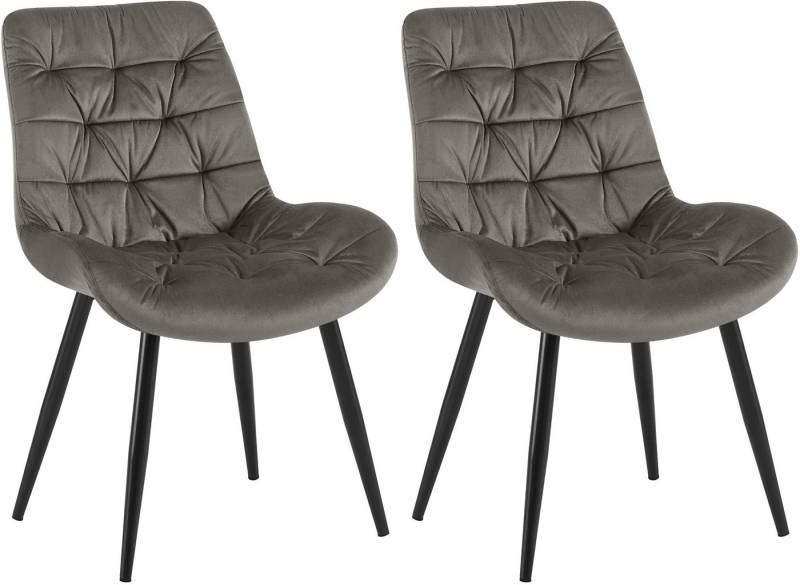 CLP Esszimmerstuhl Rossford Samt (2er Set), Gesteppt, 4-Fuß-Stuhl, Metallgestell von CLP