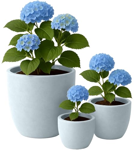 CLP Pflanzkübel groß, 3er Set für außen und innen, Outdoor XXL Blumenkübel rund, wetterbeständig frostsicher in Steinoptik, Winterfest, Farbe:grau CLP Pflanzkübel groß, 3er Set für außen und innen, Outdoor XXL Blumenkübel rund, wetterbeständig frostsicher in Steinoptik, Winterfest, Farbe:grau von CLP