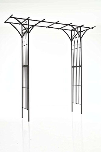 CLP Rosenbogen Pergola Bigger Milano aus beschichtetem Eisen, 230 x 230 cm, Farbe:schwarz von CLP