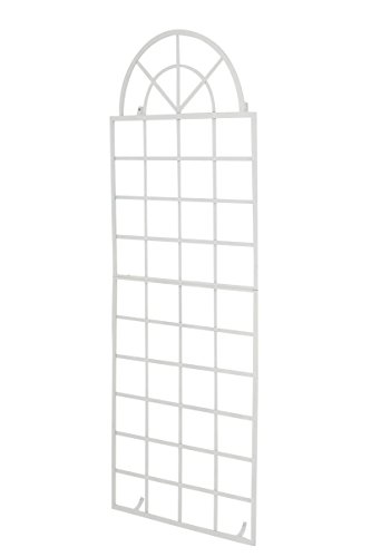CLP Wand-Rankgitter Viva mit Rahmen I Rankgitter aus Eisen zur Wandbefestigung I erhältlich, Farbe:weiß von CLP