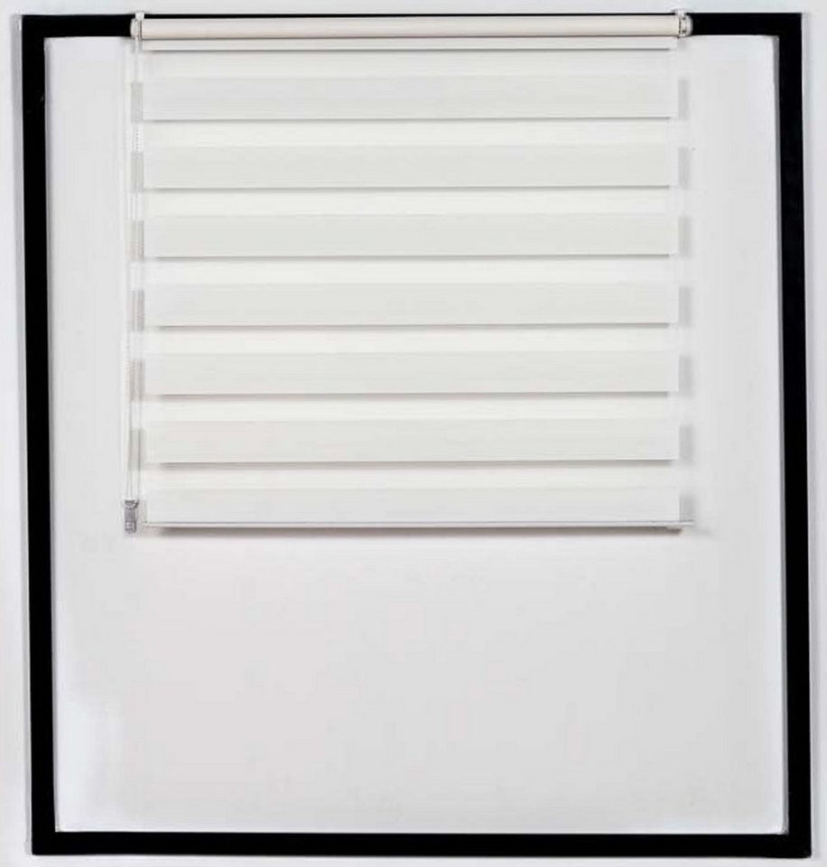 Rollo Doppelrollo, CLP, blickdicht, Klemmfix, Klemmfix, ohne Bohren mit Klemmfix Rollo Doppelrollo, CLP, blickdicht, Klemmfix, Klemmfix, ohne Bohren mit Klemmfix von CLP