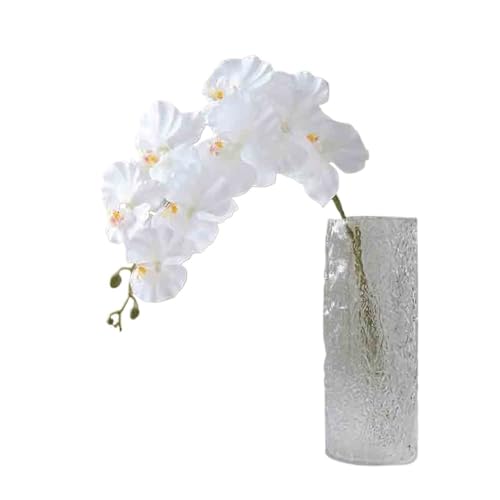 CLQYXRMVC Gefälschte Blumen Simulation Phalaenopsis Gefälschte Blumen Desktop Anordnung Wohnzimmer Dekorative Floral Tisch Blumen Glas Vase künstliche Blumen Dekoration CLQYXRMVC Gefälschte Blumen Simulation Phalaenopsis Gefälschte Blumen Desktop Anordnung Wohnzimmer Dekorative Floral Tisch Blumen Glas Vase künstliche Blumen Dekoration von CLQYXRMVC
