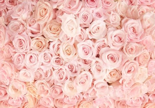 CLVIUJLBKLKSDD Fototapete 3D Effekt Rosa Blumen 300cmx210cm Rosa Zimmer voller Rosen Schlafzimmer Wohnzimmer Wanddeko, Wandbild, Wandtapete CLVIUJLBKLKSDD Fototapete 3D Effekt Rosa Blumen 300cmx210cm Rosa Zimmer voller Rosen Schlafzimmer Wohnzimmer Wanddeko, Wandbild, Wandtapete von CLVIUJLBKLKSDD
