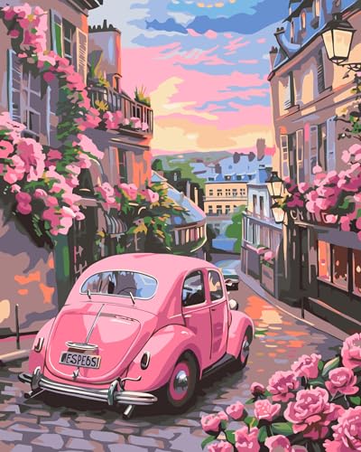 CLYCTIP Paint by Numbers Kits for Adults, Painting Kits On Clear Symbols Colored Canvas, Easy DIY Acrylic Pigment Drawing Paintwork for Home Wall Decor, 16x20in Frameless (R) von CLYCTIP