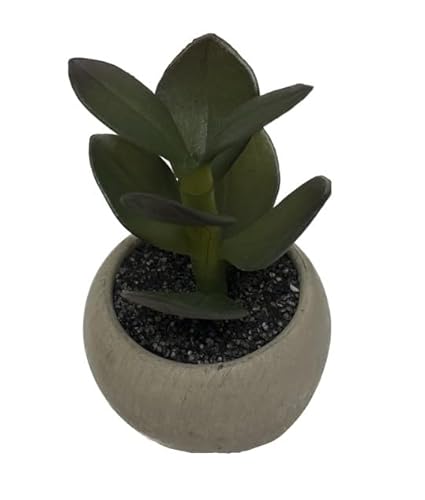 PLANTA ARTIFICIAL D.6,5 H.11CM - BP_230516 von CMP