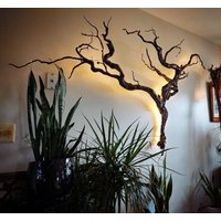 Leuchtender Baum Kunst von CModesignz