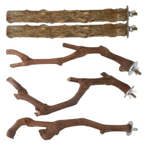 CNAFGBGG 5pcs/Set Bird Perch Parrot Barsch Ständer natürlicher Papagei CNAFGBGG 5pcs/Set Bird Perch Parrot Barsch Ständer natürlicher Papagei von CNAFGBGG