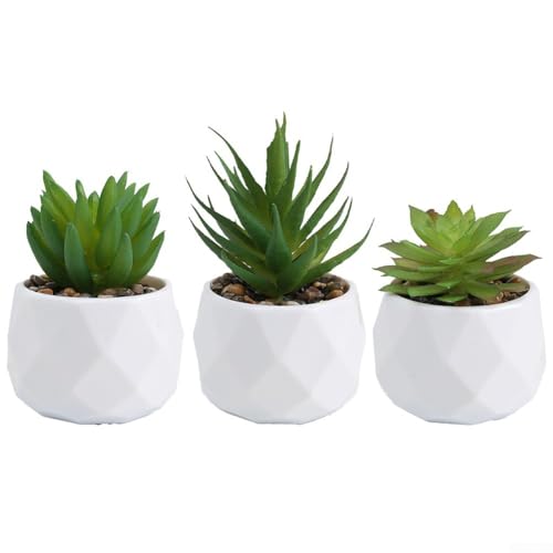 3 Stück dekorative künstliche Sukkulenten für stilvolle Dekoration für Zuhause und Büro, elegantes Design (Set1) von CNANRNANC