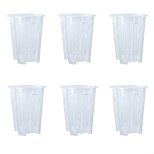 CNANRNANC 6PCS Transparente Kunststoff Pflanztöpfe mit Löchern Orchideentöpfe Sukkulenten Topfpflanzen Pflanzentöpfe für Samen 16cm von CNANRNANC