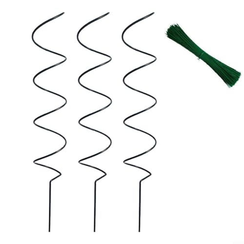CNANRNANC Garten Kletterpflanzenstütze Spiralpfähle Metall Rankgitter Rahmen für Clematis Rose Vine Pflanzen Outdoor Balkon (B) von CNANRNANC