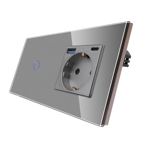 CNBINGO Touch Lichtschalter und Schuko Steckdose mit USB Schnellladen (Typ C+A unterstützung 20W Schnellladen) - USB Steckdose unterputz - Glas Wandschalter einfach mit Status-LED - Grau von CNBINGO