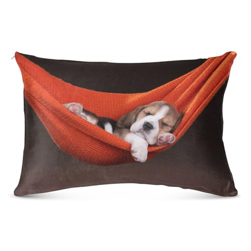 CNDJSFF Dekokissen Tierischer Hund Beagle-Welpe Kissenbezug 40x60cm Brown and White Modern-Trendy 1 Stück Wohnzimmer Schlafzimmer Sofa Bett Autodekoration Büro Hotel Kaffeedekoration Fensterplatz von CNDJSFF