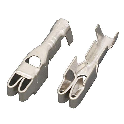 CNLW BX2024-2 Kfz-Sicherungskastenklemme, Sicherungsklemme, Leitungsschutz, kleine Versicherung, verzinnte Kupferklemme, 50 Stück CNLW BX2024-2 Kfz-Sicherungskastenklemme, Sicherungsklemme, Leitungsschutz, kleine Versicherung, verzinnte Kupferklemme, 50 Stück von XPE