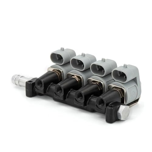 Auto Injektor-Düsen Auto Gas Umrüstsatz Injektorschiene 2 Oder 3 Ohm Autoinjektor LPG/CNG Sequentielle Kraftstoffeinspritzung Kraftstoff-Einspritzdüsen(2ohm) von CNMVCJSAR