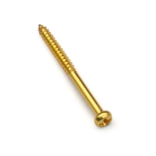 50 Stück Edelstahl verlängerte Blechschrauben Rundkopf Schwellenschrauben Möbelbefestigungen Holzbearbeitungs-Hardware-Werkzeuge(Gold) von CNYUON