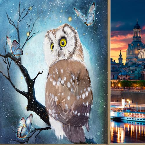 COALHO Woodland Owl Home Fensterfolie, abstrakt, Aquarell, Eule, Schmetterling, Wald, Nacht, geeignet für Wohnzimmer, Küche, Bad, 60 B x 120 L cm, 1 Stück von COALHO