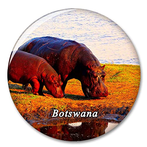 Botswana Kühlschrankmagnet Dekorativer Magnet Aufkleber Reise Souvenir Sammlung Tourist City Geschenk Whiteboard Küche von COBREW