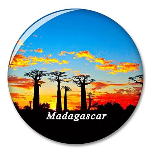 Madagaskar Kühlschrankmagnet Dekorativer Magnet Aufkleber Reise Souvenir Sammlung Tourist Stadt Geschenk Whiteboard Küche von COBREW
