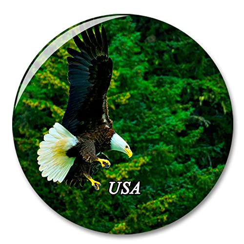 USA Amerika Glatzenadler Skagway Alaska Kühlschrankmagnet Dekorativer Magnet Aufkleber Reise Souvenir Kollektion Tourist Stadt Geschenk Whiteboard Küche USA Amerika Glatzenadler Skagway Alaska Kühlschrankmagnet Dekorativer Magnet Aufkleber Reise Souvenir Kollektion Tourist Stadt Geschenk Whiteboard Küche von COBREW