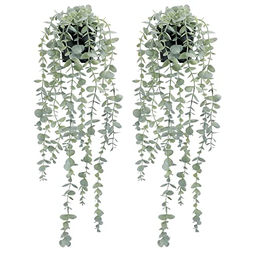 COCOBOO Künstliche hängende Eukalyptus-Pflanzen für Regal, künstliche Topfpflanze für Wand, Zimmer, Zuhause, Terrasse, Innen- und Außenbereich, 2 Stück von COCOBOO