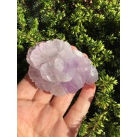 Amethyst Flower Amethyst Flower von COCOROCRYSTAL