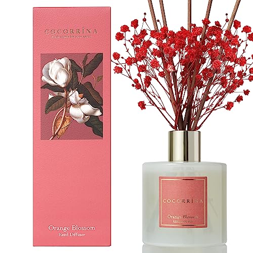COCORRÍNA Raumduft 200ml mit 8 Duftstäbchen, Orange Blossom, Natürliche ätherische Öle für einen Langanhaltenden, erfrischenden Duft, Home Duft für Wohnzimmer, Schlafzimmer, Badezimmer Dekoration COCORRÍNA Raumduft 200ml mit 8 Duftstäbchen, Orange Blossom, Natürliche ätherische Öle für einen Langanhaltenden, erfrischenden Duft, Home Duft für Wohnzimmer, Schlafzimmer, Badezimmer Dekoration von COCORRÍNA