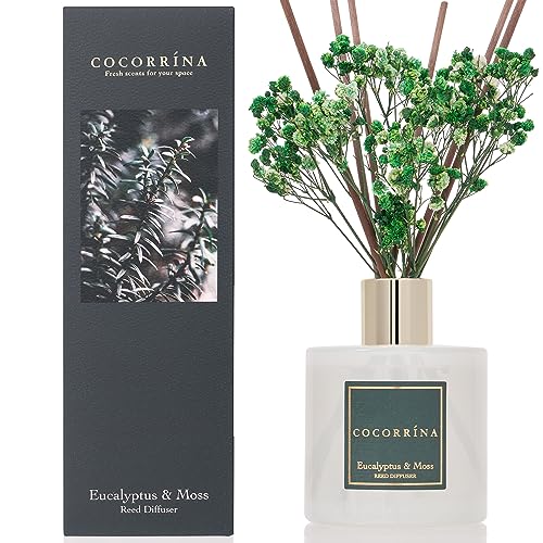 Cocorrína Raumduft Reed Diffuser mit 8 Duftstäbchen 200ml- Eukalyptus & Moos, Natürlich, Langanhaltend, Home Duft ätherisches Öl Reed Diffusor für Badezimmer Regal Dekoration von COCORRÍNA