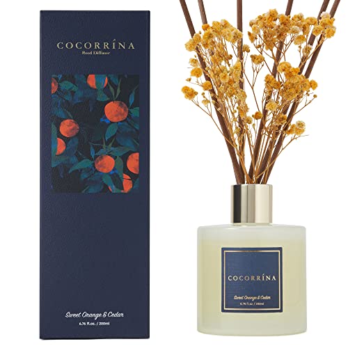 Cocorrína Raumduft Reed Diffuser mit 8 Duftstäbchen 200ml- Süße Orange Zedernholz, Natürlich, Langanhaltend, Home Duft ätherisches Öl Reed Diffusor für Badezimmer Regal Dekoration von COCORRÍNA