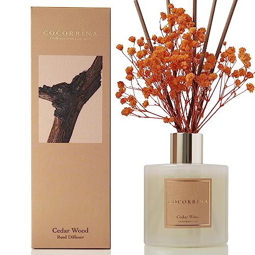 Cocorrína Raumduft Reed Diffuser mit 8 Duftstäbchen 200ml- Zedernholz, Natürlich, Langanhaltend, Home Duft ätherisches Öl Reed Diffusor für Badezimmer Regal Dekoration von COCORRÍNA