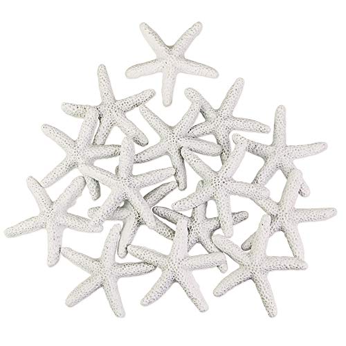 CODIRATO 15 Stück Groß Deko Seestern Aquarium Seestern Kunstharz Bleistift Finger Seestern für Hochzeiten, Partys, Badezimmer, Aquarium Dekoration, 5,7cm x 5,7cm(Weiß) von CODIRATO