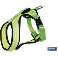 Cofan - Beleuchtetes und reflektierendes Geschirr mit LED-Licht für Felix-Hunde, 45 x 45–70 cm von COFAN