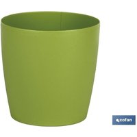 Grüner Kamelientopf 14x13,8cm Grüner Kamelientopf 14x13,8cm von COFAN