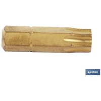 Titanspitze 1/4 25 mm T-25 Titanspitze 1/4 25 mm T-25 von COFAN