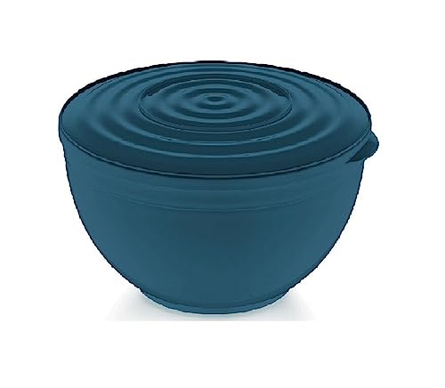 MICHELINO Rührschüssel mit Deckel Schüssel Salatschale Spülmaschinengeeignet 5500ml Blau von COFI 1453