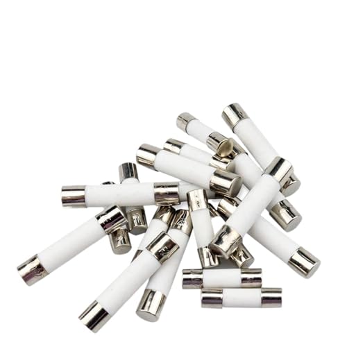 10 Teile/los 5 * 20mm 6 * 30mm flinke Rohr sicherung mm 250V 100MA 200MA 300MA 8A 10A 12A 15A 20A 25A 30A AMP sicherung Keramik sicherung (Color : 0.2A, Size : 6X30MM_10 PCS) von COJIC