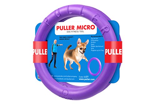 COLLAR B. Puller Micro Interaktives Hundespielzeug bestehend aus 2 Ringe für Hunde violett Durchmesser 13 cm von COLLAR