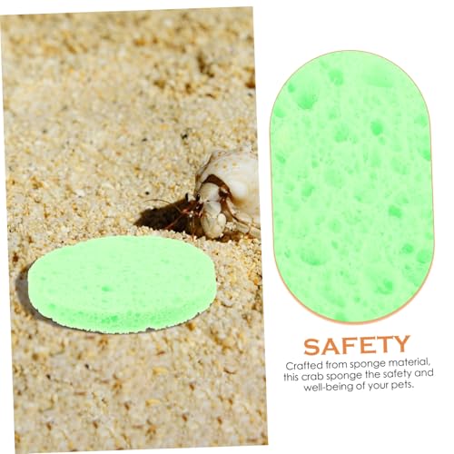 COLLBATH 10 Stück Teiliges Einsiedlerkrebs-feuchtigkeitsschwämme Saugfähige Sichere Schwämme für Haustier-krabben Kompakte Vielseitig für Krabbenhaltung und Reinigung COLLBATH 10 Stück Teiliges Einsiedlerkrebs-feuchtigkeitsschwämme Saugfähige Sichere Schwämme für Haustier-krabben Kompakte Vielseitig für Krabbenhaltung und Reinigung von COLLBATH