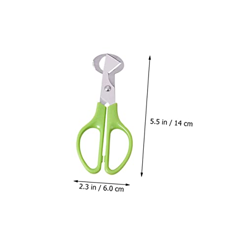 COLLBATH 3 Stück Edelstahl Wachteleierschere mit Rutschfestem Griff Ergonomisch Geformt für Einfaches Öffnen von Wachteleiern für Küche Restaurant Bar COLLBATH 3 Stück Edelstahl Wachteleierschere mit Rutschfestem Griff Ergonomisch Geformt für Einfaches Öffnen von Wachteleiern für Küche Restaurant Bar von COLLBATH