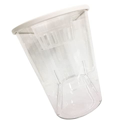 COLLBATH Kleines Transparentes Plastik Aquarium für Fische und Schildkröten Bruchsicherer Dekorationstank für Zuhause Büro und Garten mit Design zur Einfachen Beobachtung COLLBATH Kleines Transparentes Plastik Aquarium für Fische und Schildkröten Bruchsicherer Dekorationstank für Zuhause Büro und Garten mit Design zur Einfachen Beobachtung von COLLBATH